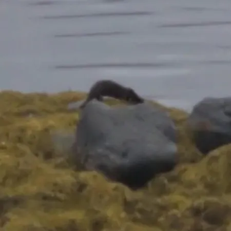 Tatil Evi Seaside With Stunning View!